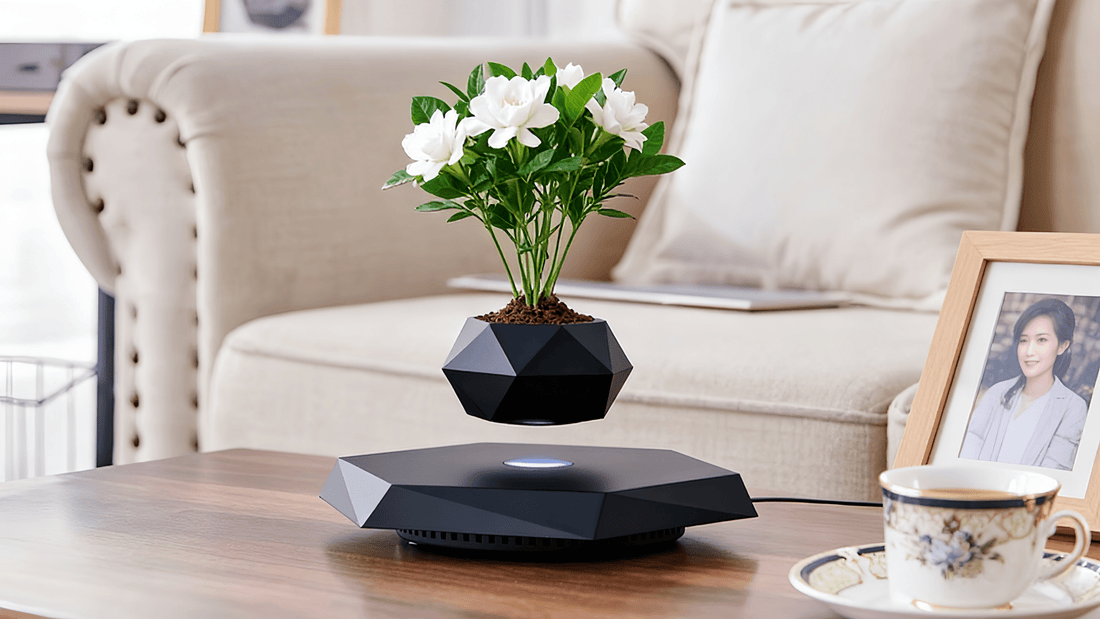 Float Your Decor, Focus Your Mind - PandaLane