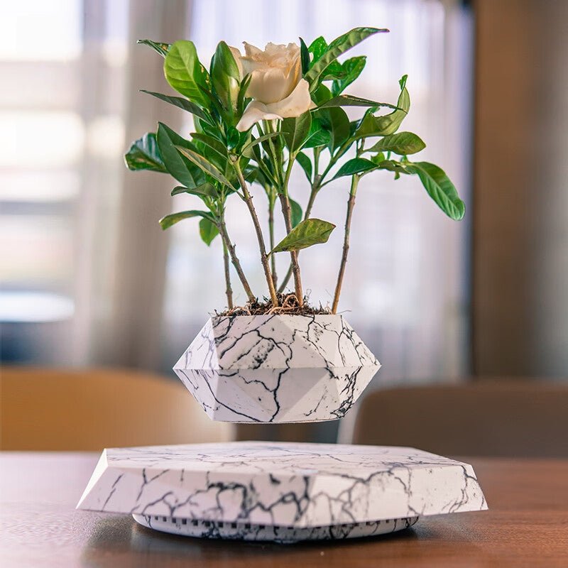 Hexagonal Potted Plant Ornament - PandaLane