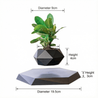 Levitating Hexagonal Potted Plant Ornament - PandaLane