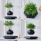 Levitating Hexagonal Potted Plant Ornament - PandaLane