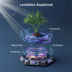 Levitating Hexagonal Potted Plant Ornament - PandaLane