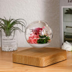 Levitating Preserved Flower Desk Ornament - PandaLane