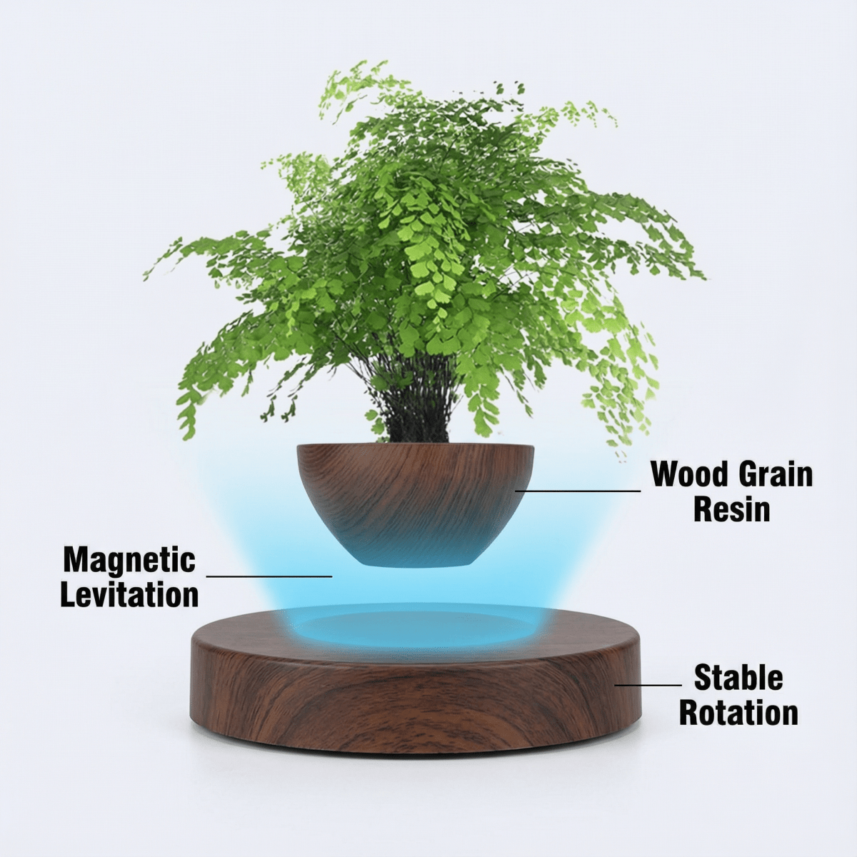 Levitating Wood - Grained Potted Plant Ornament - PandaLane