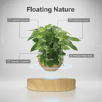Levitating Wood - Grained Potted Plant Ornament - PandaLane