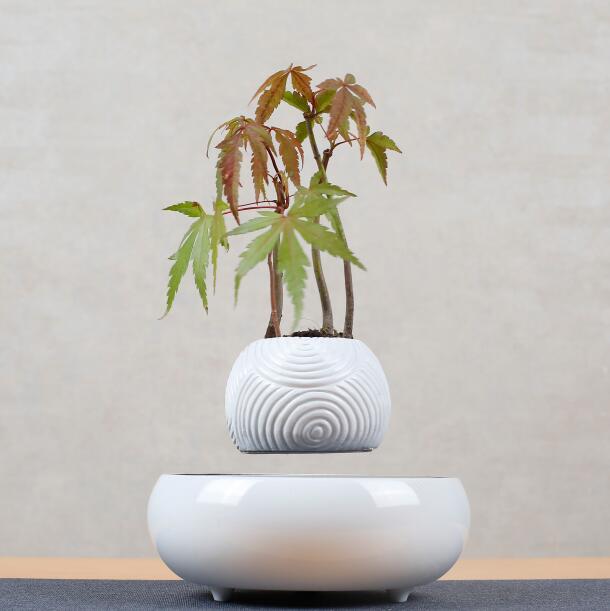 Simple Striped Potted Plant Ornament - PandaLane