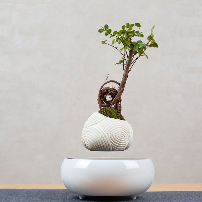 Simple Striped Potted Plant Ornament - PandaLane