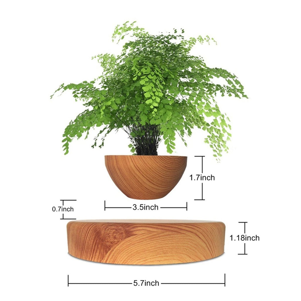 Wood - Grained Potted Plant Ornament - PandaLane