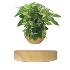 Wood - Grained Potted Plant Ornament - PandaLane